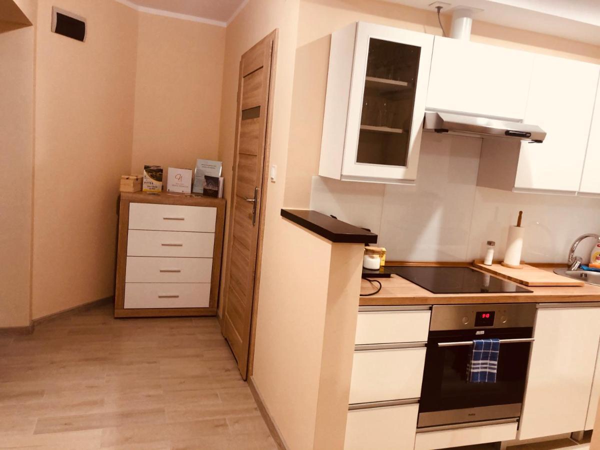 Apartamenty Alicja Dzierżoniów 외부 사진